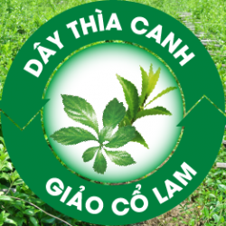 CÂY THUỐC QUÝ VIỆT NAM