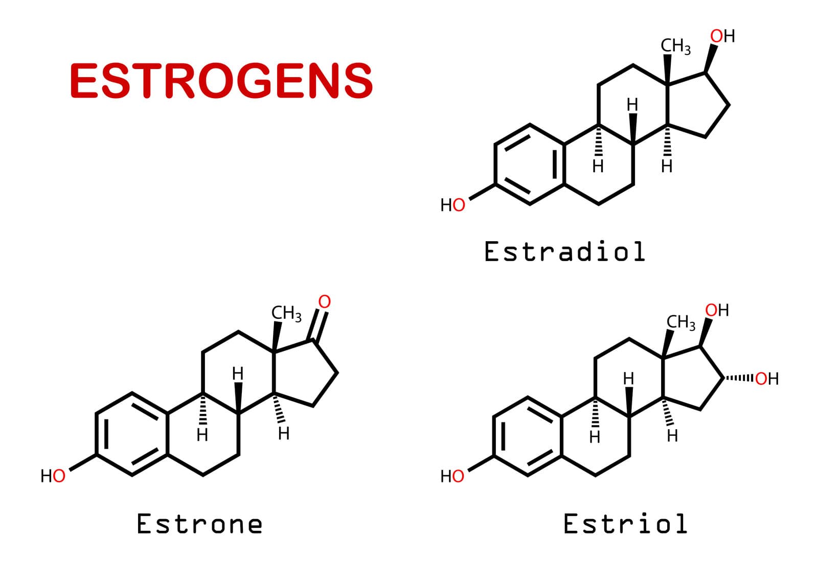 nội tiết tố nữ - estrogene
