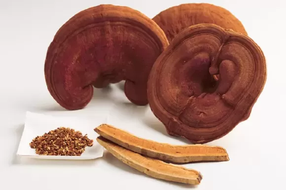 Cây Thuốc Dân Gian Trị Mất Ngủ