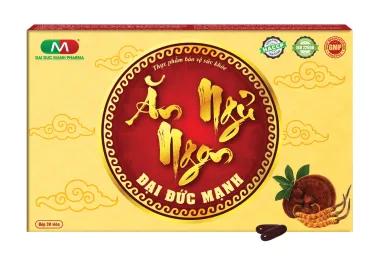 ĂN NGỦ NGON ĐẠI ĐỨC MẠNH