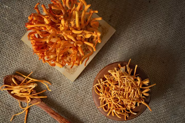 Đ&ocirc;ng tr&ugrave;ng hạ thảo