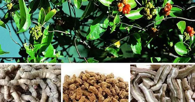 CTY TNHH DƯỢC PHẨM ĐẠI ĐỨC MẠNH