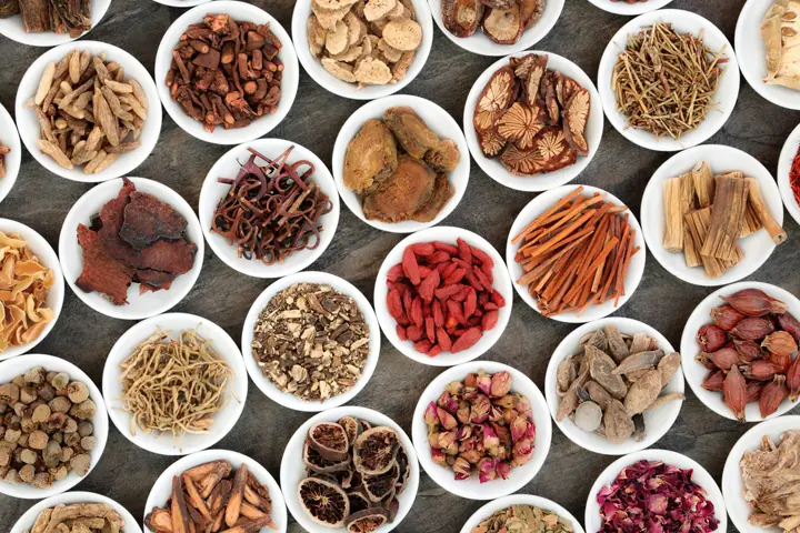 Bài thuốc đông y chữa viêm gan B hiệu quả